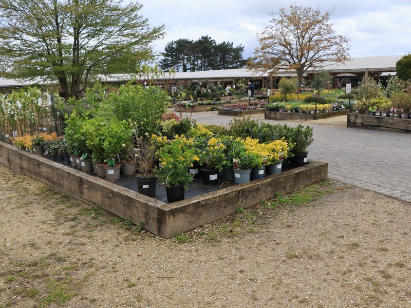Garten- & Landschaftsbau Projekt