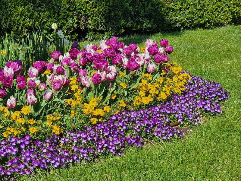 Garten- & Landschaftsbau Projekt