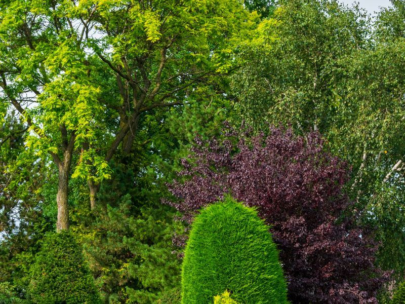 Garten- & Landschaftsbau Projekt