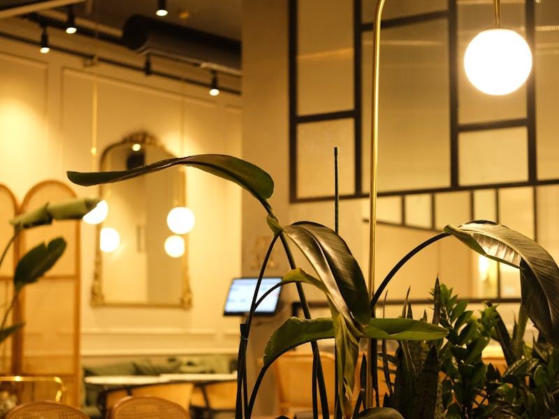 Restaurant Projekt