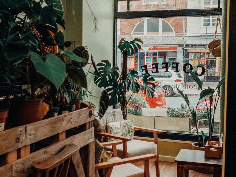 Café Projekt