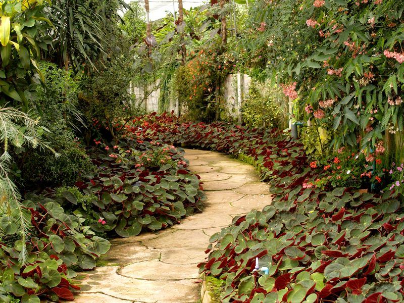 Garten- & Landschaftsbau Projekt