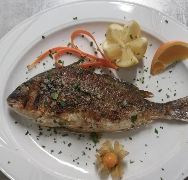 Restaurant Projekt