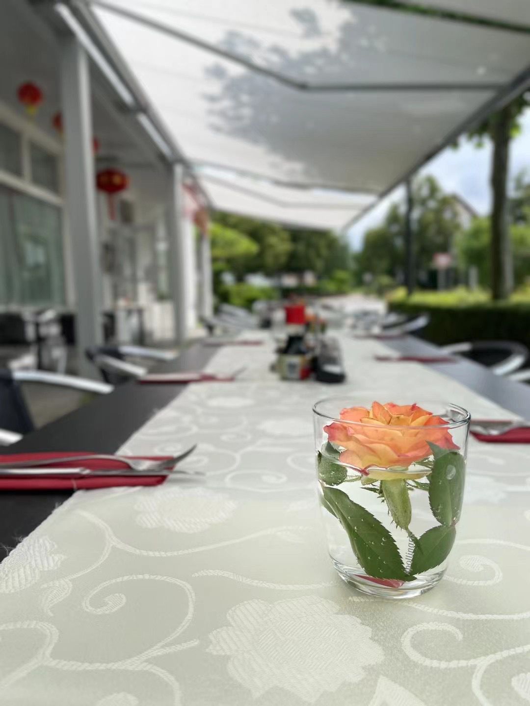 Restaurant Projekt