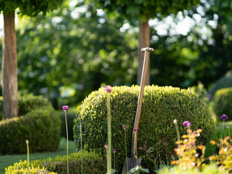 Garten- & Landschaftsbau Projekt